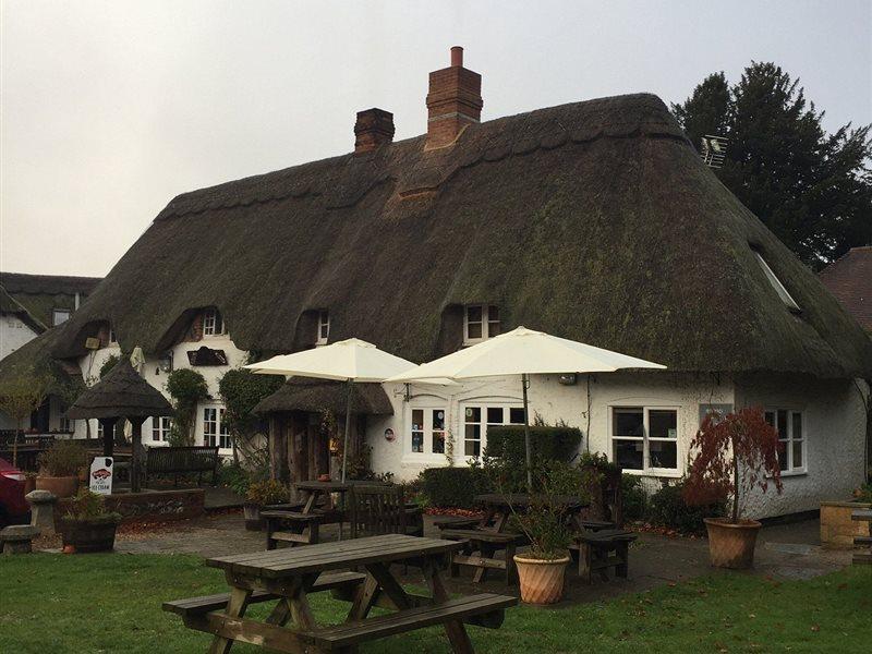 The Hatchet Inn Chute Buitenkant foto