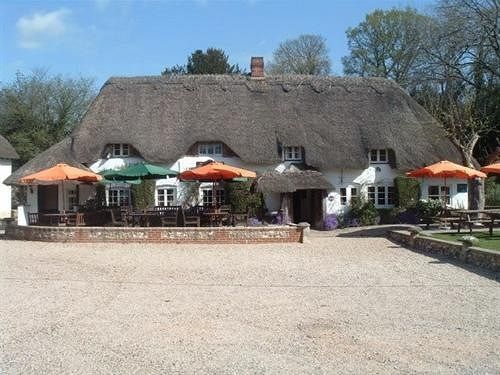 The Hatchet Inn Chute Buitenkant foto